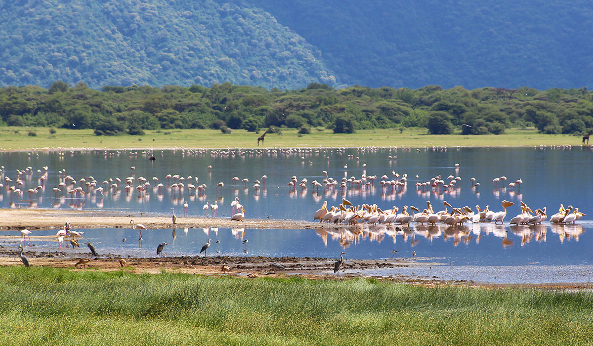 DT-Lake-Manyara-National-Park-landscape